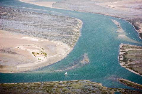 Bienvenue au Parc National du Banc d'Arguin (PNBA)