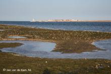 Bienvenue au Parc National du Banc d'Arguin (PNBA)